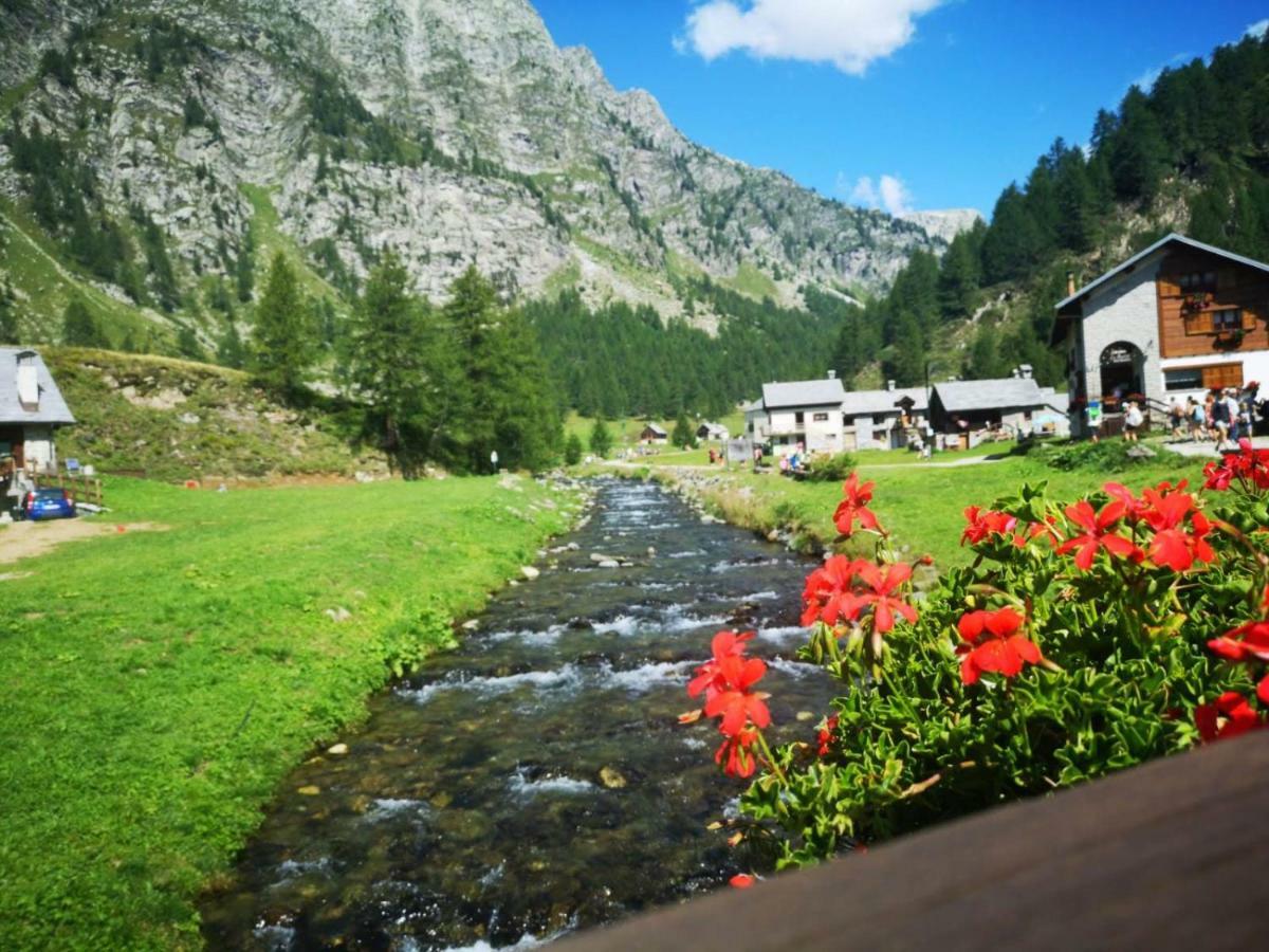 Ferienwohnung La Beccaccia Baceno Exterior foto